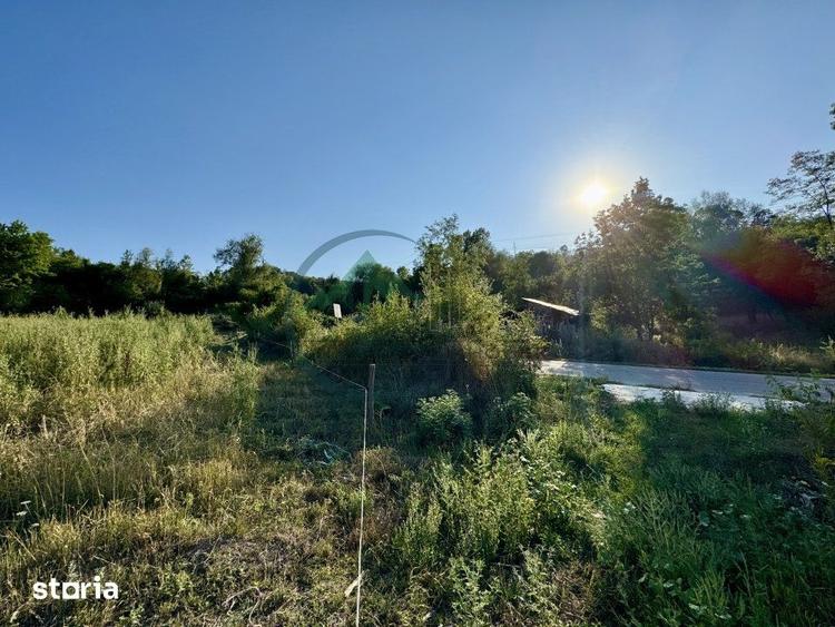 Teren de 33290 mp, în Broșteni
