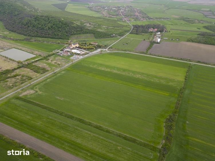 Teren de 22500 mp, în Ineu