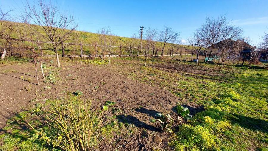 Casă cu 4 camere cu Teren 2984 Mp în Central