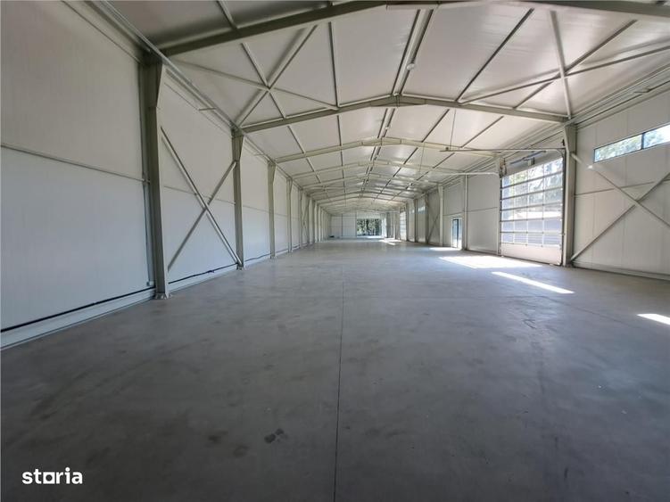Showroom cu hala 1440mp Baneasa Centura - 2
