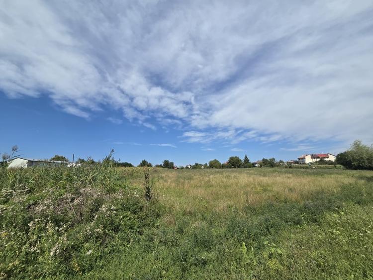Teren Construcții de 4000 mp, în Traian