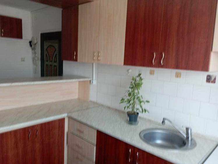 Apartament cu 2 camere nedecomandat în Nufărul