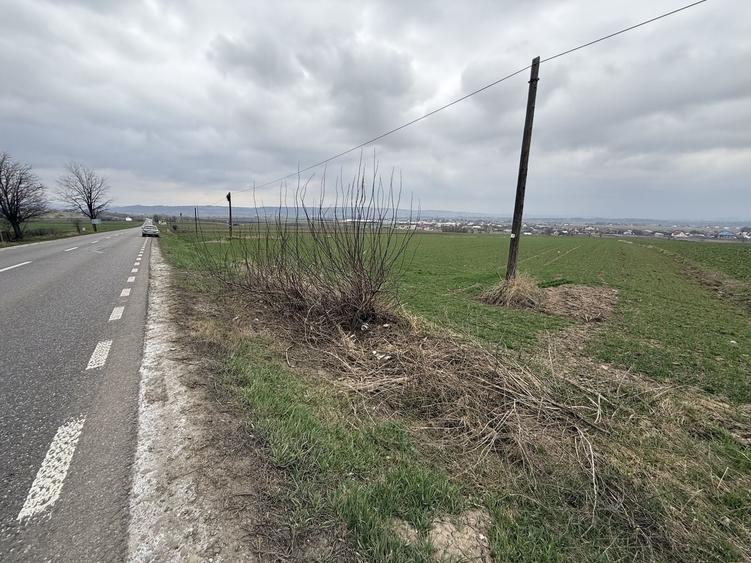 Teren Construcții intravilan de 3255 mp, în Grănicești