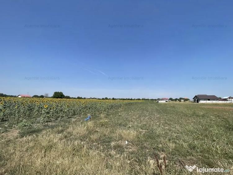 Teren în Frumușani