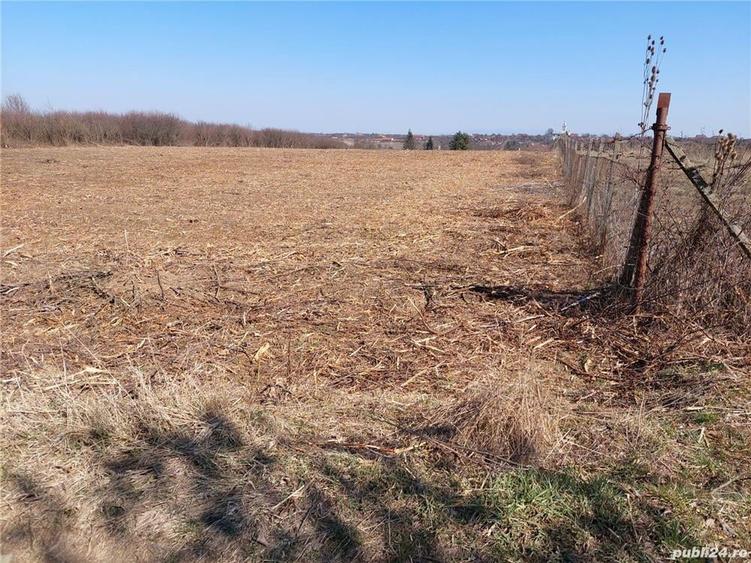 Teren de 6670 mp, în Viile Satu Mare