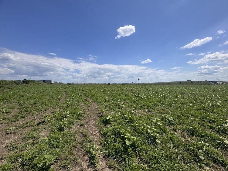 Teren agricol extravilan de 10000 mp, în Ghiroda