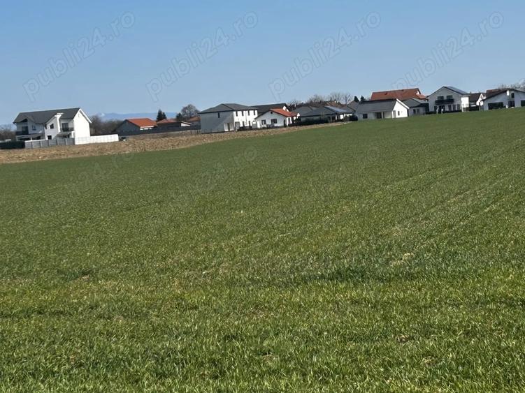 Teren de 4000 mp, în Mărtinești
