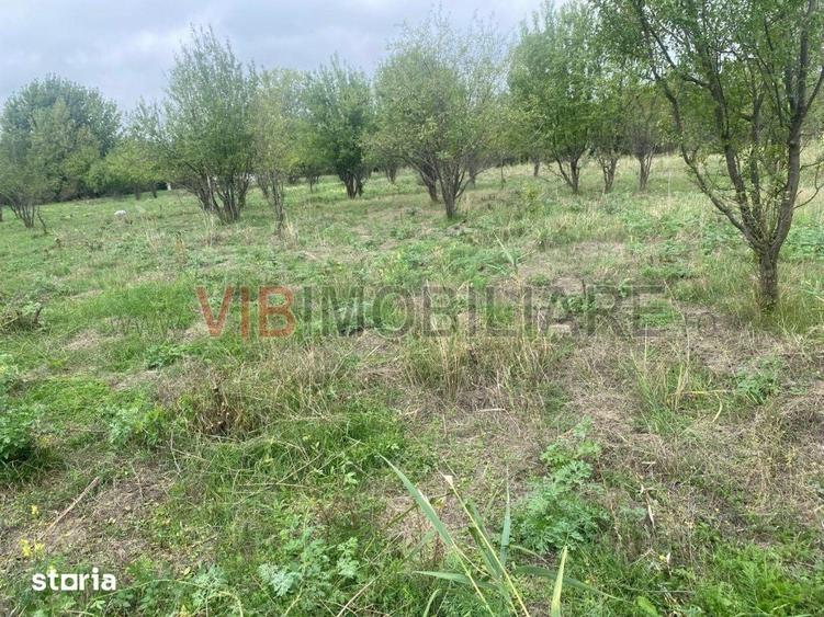 Teren de 8100 mp, în Mărtinești