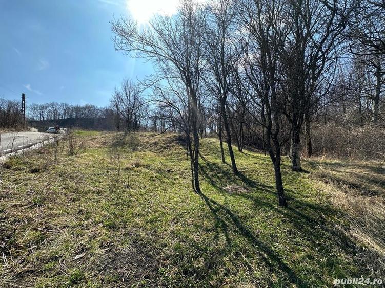 Teren de 828 mp, în Curăturile