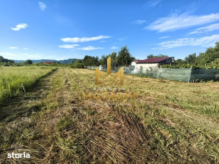 Teren de 600 mp, în Tăuții-Măgherăuș