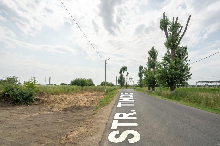 Teren Construcții intravilan de 30000 mp, în Cernica