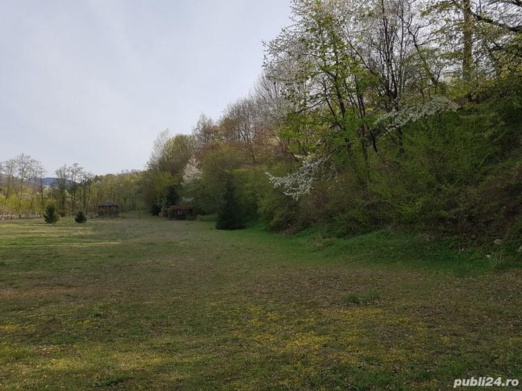 Teren de 9000 mp, în Pângărați