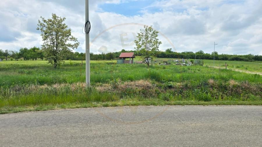 Teren Construcții intravilan de 1000 mp, în Ardud-Vii