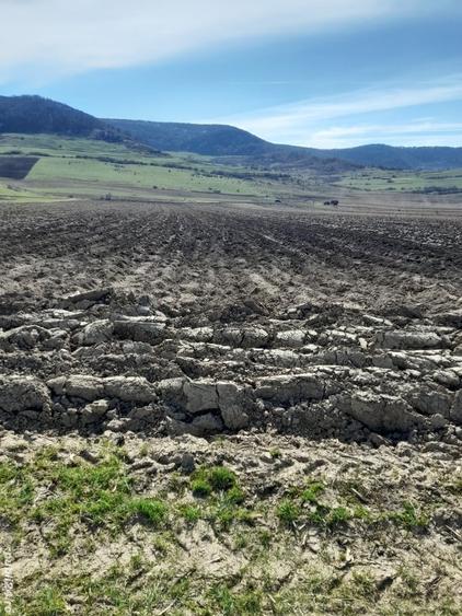 Teren de 4300 mp, în Arcalia