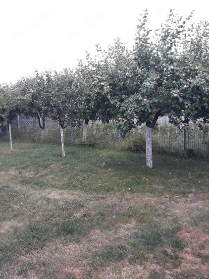 Casă cu Teren 1600 Mp în Mintia