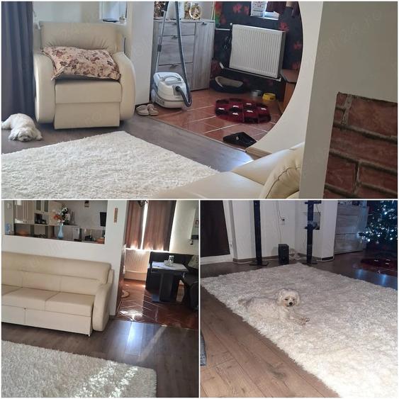 Casă cu Teren 600 Mp în Stăncești