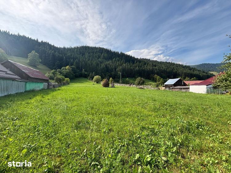 Teren de 7100 mp, în Grințieș