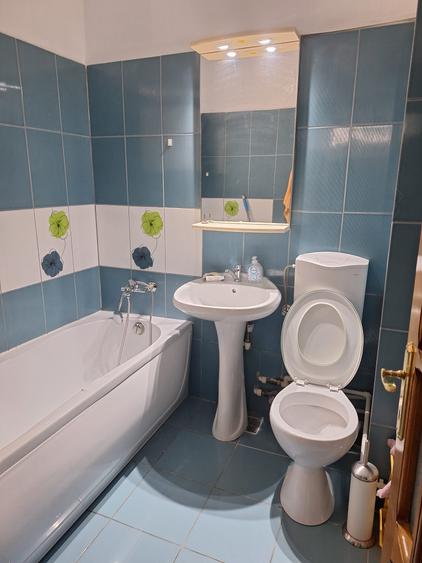 Abator, Sos. Mangaliei, 2 decomandate, 52 mp, mobilat si utilat, gaze, 370 Euro - 11