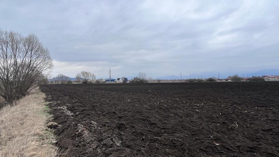 Teren agricol extravilan de 50000 mp, în Hălchiu