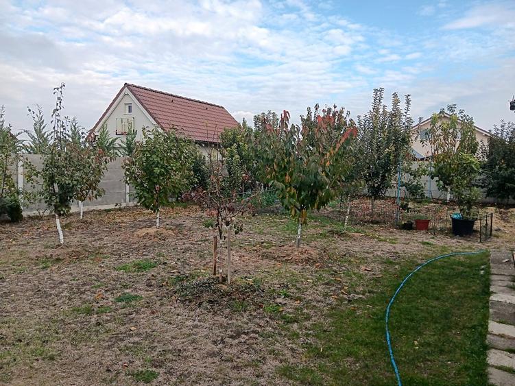 Casă individuală cu 3 camere cu Teren 700 Mp în Sânandrei