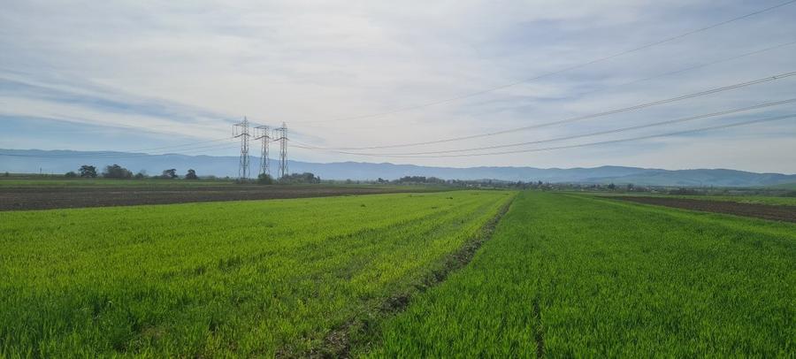 Teren agricol extravilan de 8500 mp, în Reci
