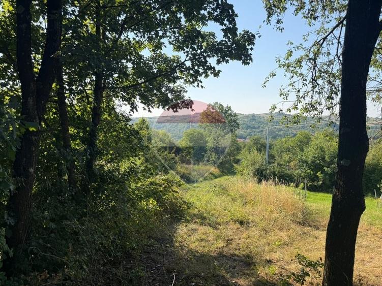 Teren Construcții intravilan de 1350 mp, în Cernești