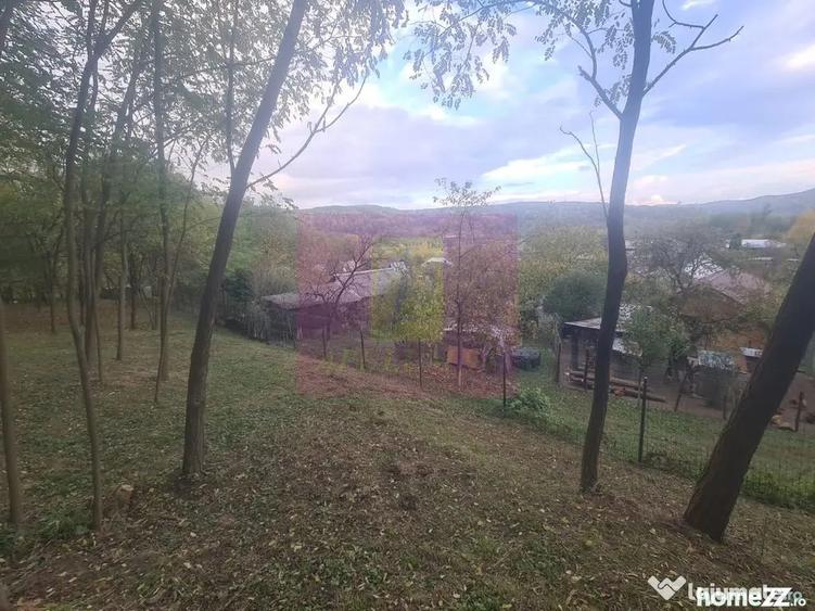Casă cu 3 camere cu Teren 3410 Mp în Aluniș