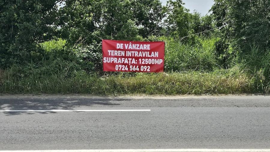 Teren de 12500 mp, în Sud