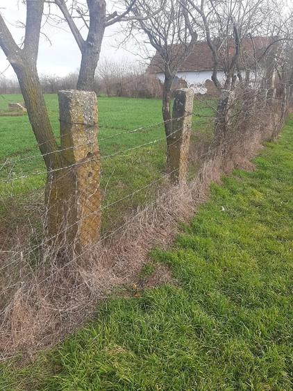 Teren de 3700 mp, în Obad