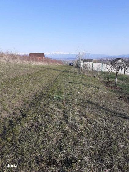 Teren de 550 mp, în Șura Mare
