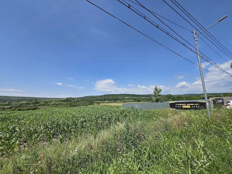 Teren de 2472 mp, în Plavia