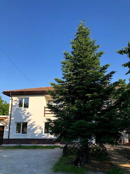 Casă individuală cu 6 camere cu Garaj în Snagov