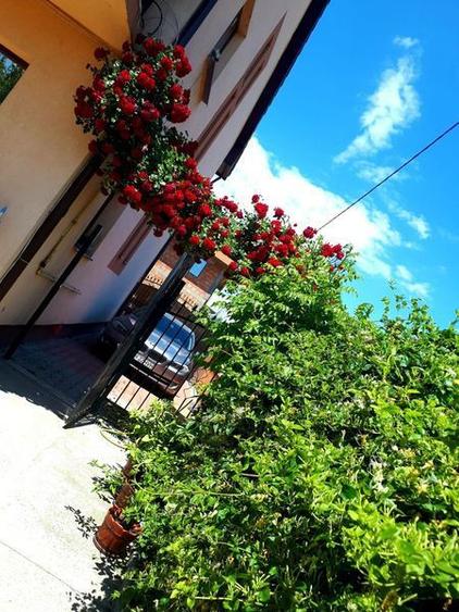 Vand casa p+1+mansarda - 3