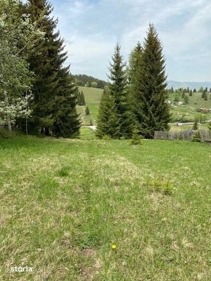 Teren de vanzare in zona de munte - 5