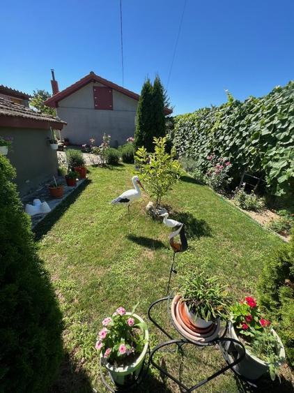 Casă individuală cu 4 camere cu Teren 2900 Mp în Iulia