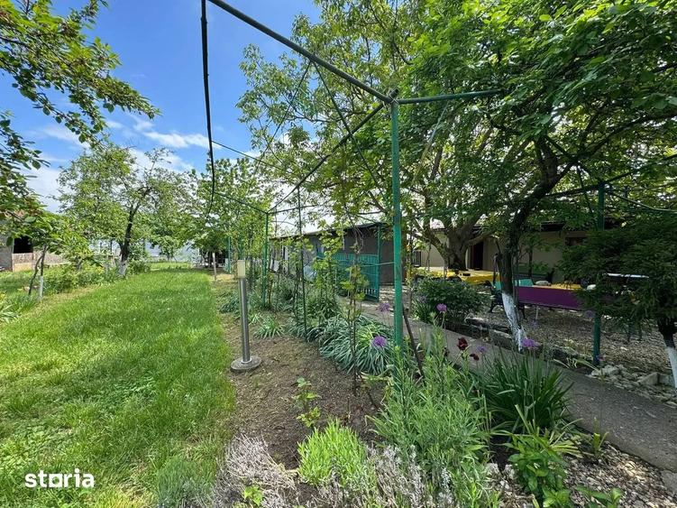 Casa cu 4000 mp teren, Letca Noua, Giurgiu 40 min de Bucure?ti - 12