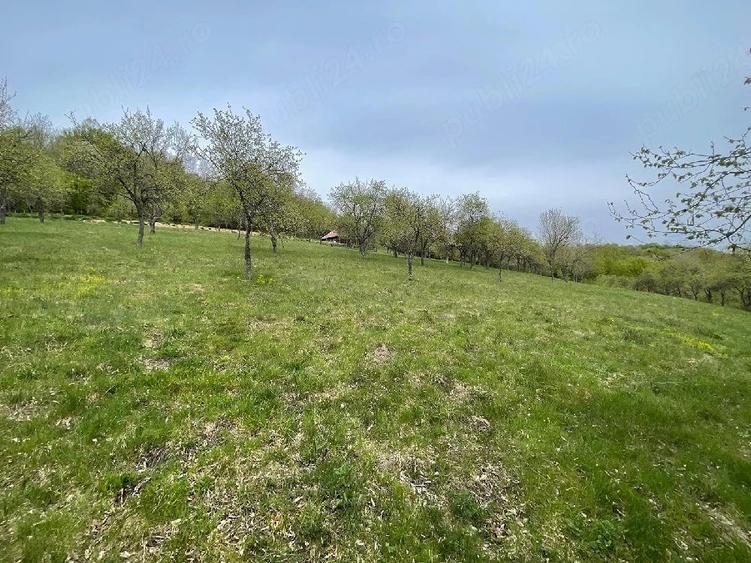 Casă cu Teren 15000 Mp în Bătrâna
