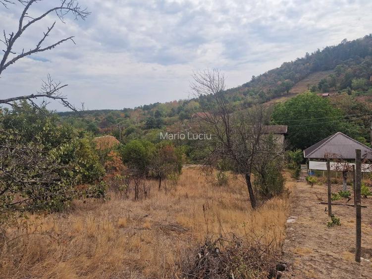Casa de Vacanta cu Teren Generos 2.755 mp | Dealul Viilor, Ineu (Arad) Intravilan, Panorama Deosebita