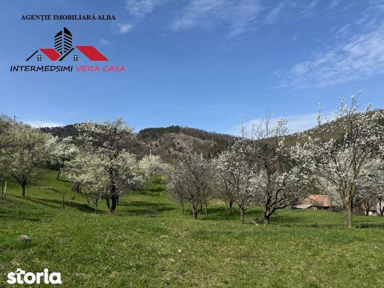 Teren de 13698 mp, în Vințu de Jos