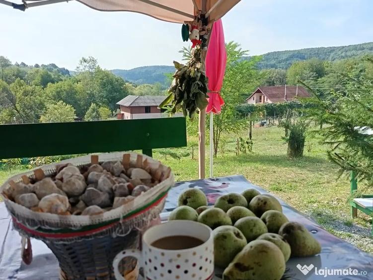 Casă cu 3 camere în Tutana
