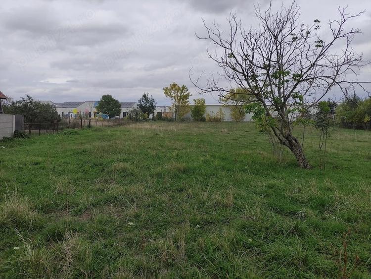 Teren de 1460 mp, în Măureni