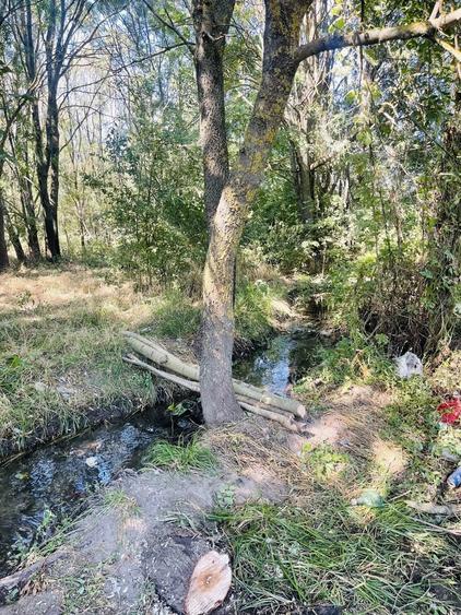 Teren de 5000 mp, în Valea Părului