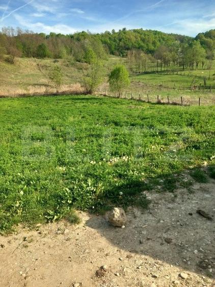 Teren Construcții intravilan de 4252 mp, în Vulcana-Pandele