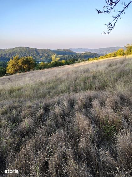 Teren de 8926 mp, în Tigveni