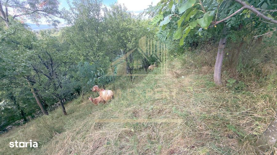 Casă cu 3 camere cu Teren 6660 Mp în Boteni
