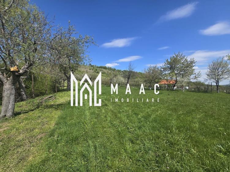 Teren agricol extravilan de 5400 mp, în Orlat