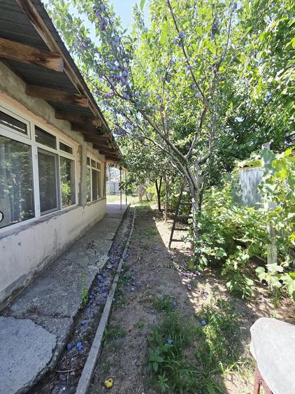 Casă cu Teren 443 Mp în Independența
