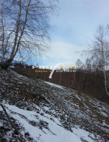 Moeciu, Drumul Carului, teren 3750 mp, 75000 euro - 4