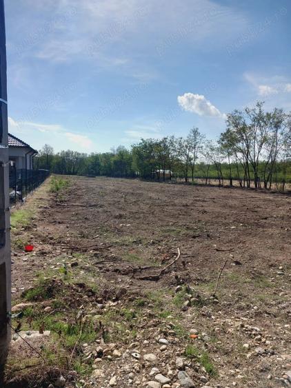 Teren de 3729 mp, în Polovragi