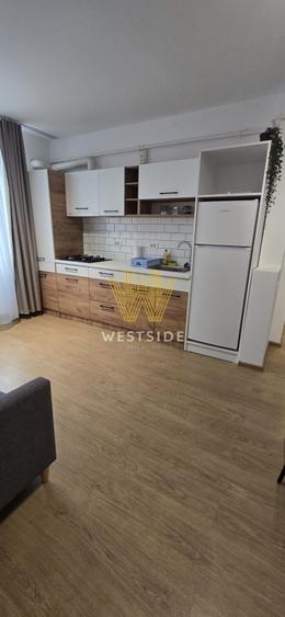 Apartament cu 2 camere decomandat, mobilat în Iosefin